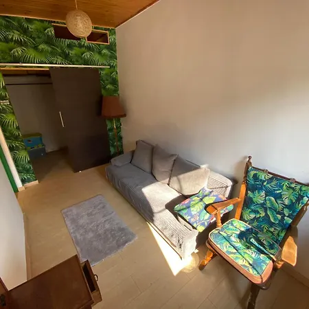 Pod Papugami Srebrna Góra