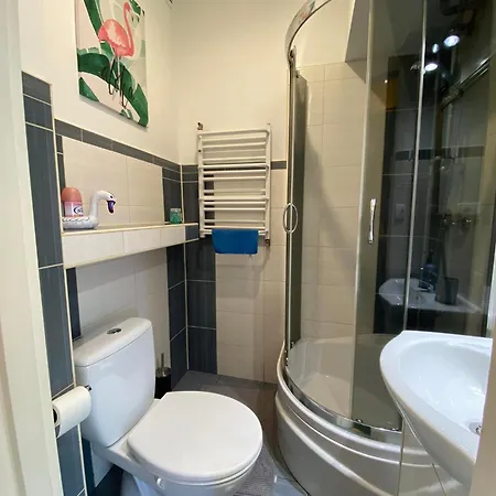 Pod Papugami Srebrna Góra