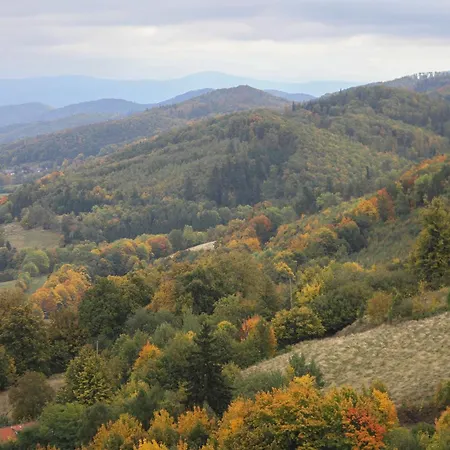 Apartment Pod Papugami *