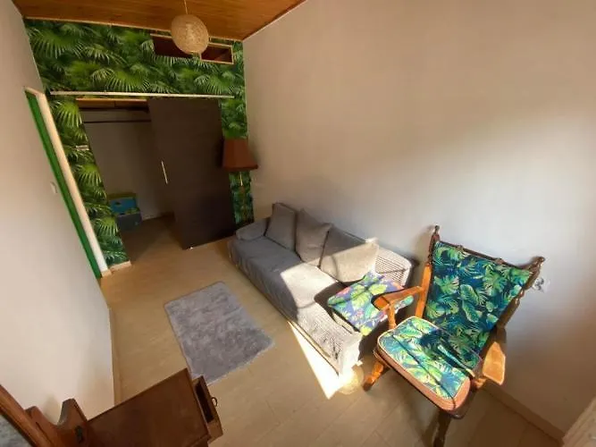 Pod Papugami Apartment