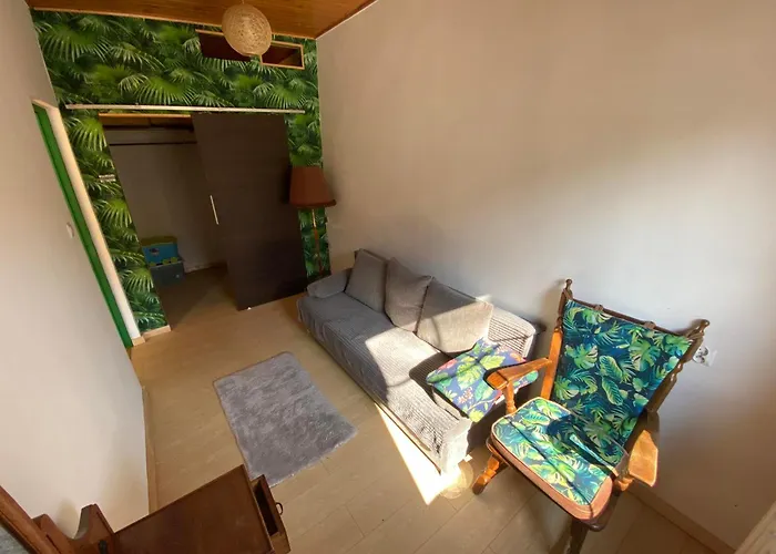 Pod Papugami Srebrna Gora