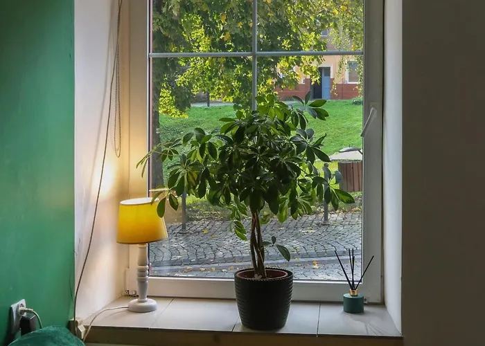 Pod Papugami Srebrna Gora